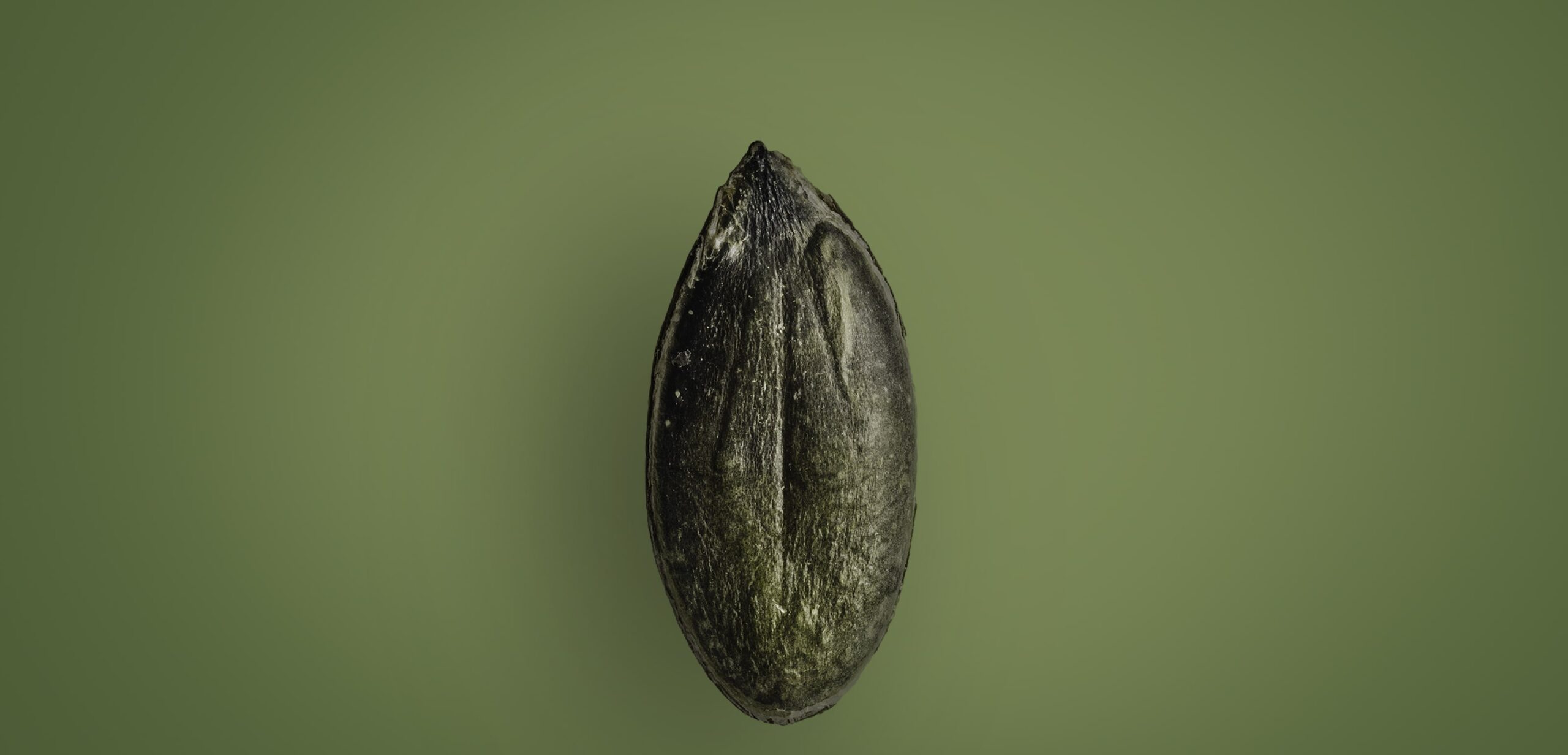 Semente_Abobora - Ano em Revista 2021