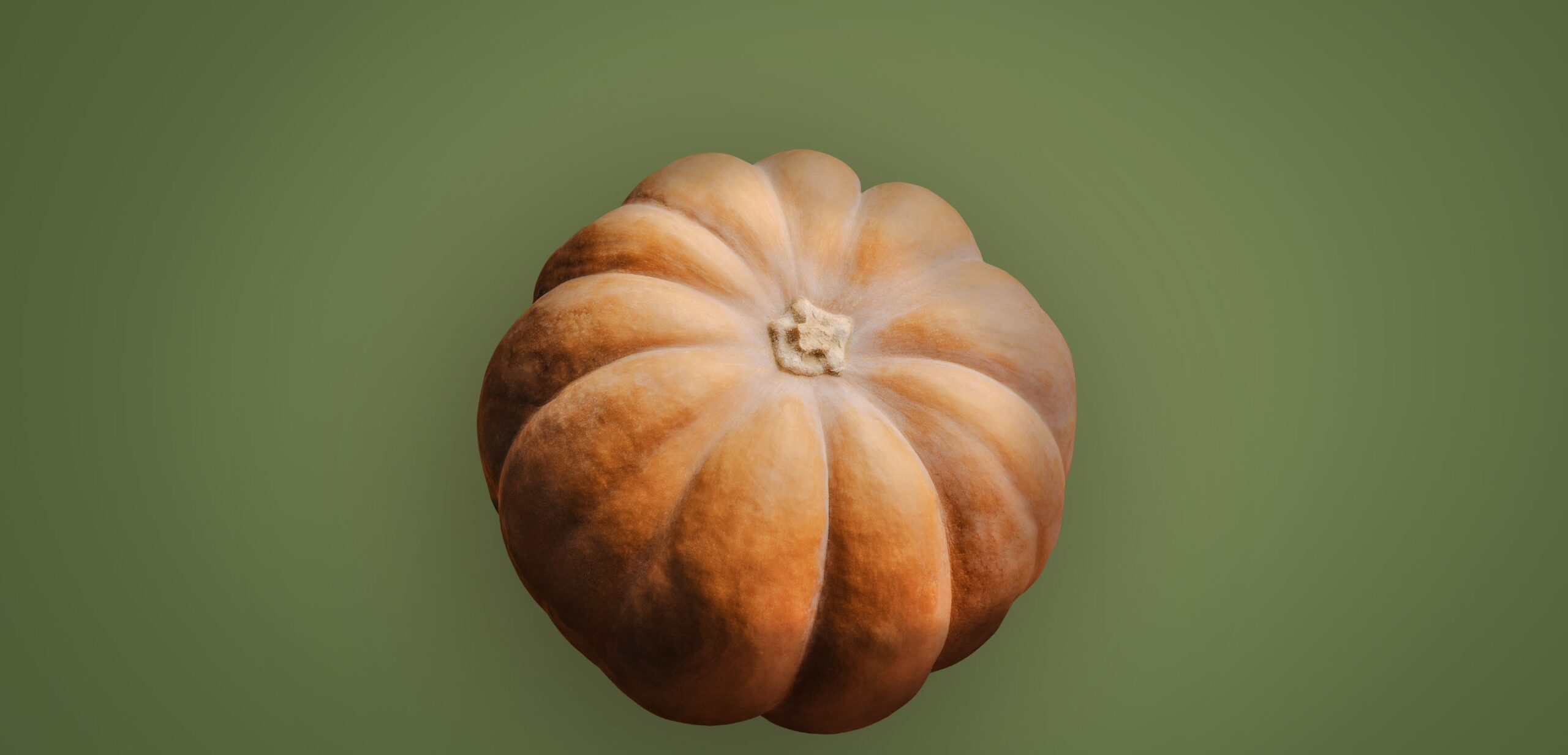 Abobora - Ano em Revista 2021